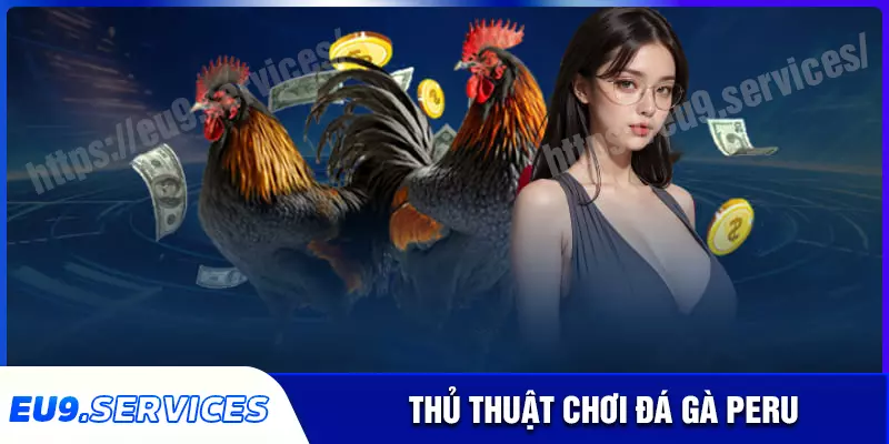 Bí kíp để bạn chơi đá gà peru thành công nhất Bí kíp để bạn chơi đá gà peru thành công nhất