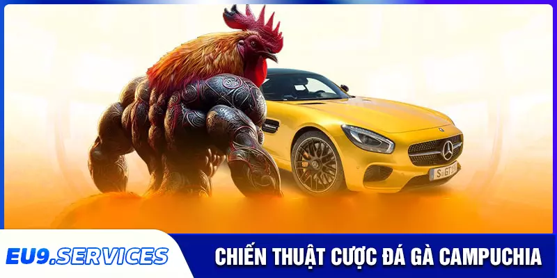 Chiến thuật chơi đá gà campuchia bất bại