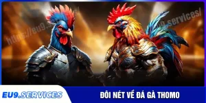 Đá gà Thomo - Đỉnh cao game cá cược online tại EU9