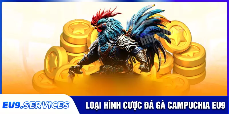 Những loại cược phổ biến khi chơi đá gà campuchia