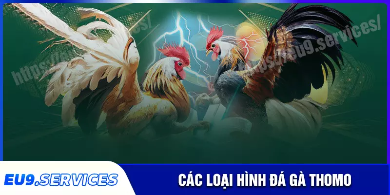 Những loại hình chơi đá gà thomo phổ biến nhất Những loại hình chơi đá gà thomo phổ biến nhất
