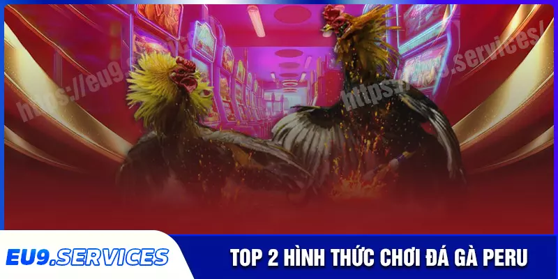 Trải nghiệm 2 hình thức đá gà peru hot nhất hiện nay Trải nghiệm 2 hình thức đá gà peru hot nhất hiện nay