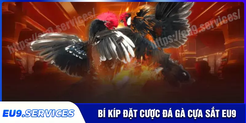 Bí kíp chơi đá gà cựa sắt đỉnh cao tại eu9