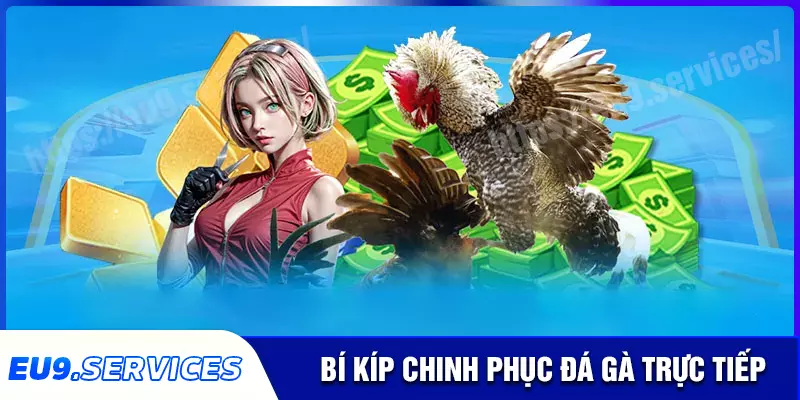 Bí kíp làm chủ trò chơi đá gà trực tiếp tại EU9