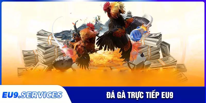 Đá gà eu9 - Sảnh đặt cược đẳng cấp cho các sư kê