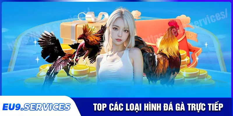 Một số loại hình đá gà trực tiếp hấp dẫn hiện nay