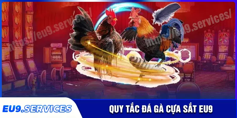 Quy tắc quan trọng khi chơi đá gà cựa sắt eu9